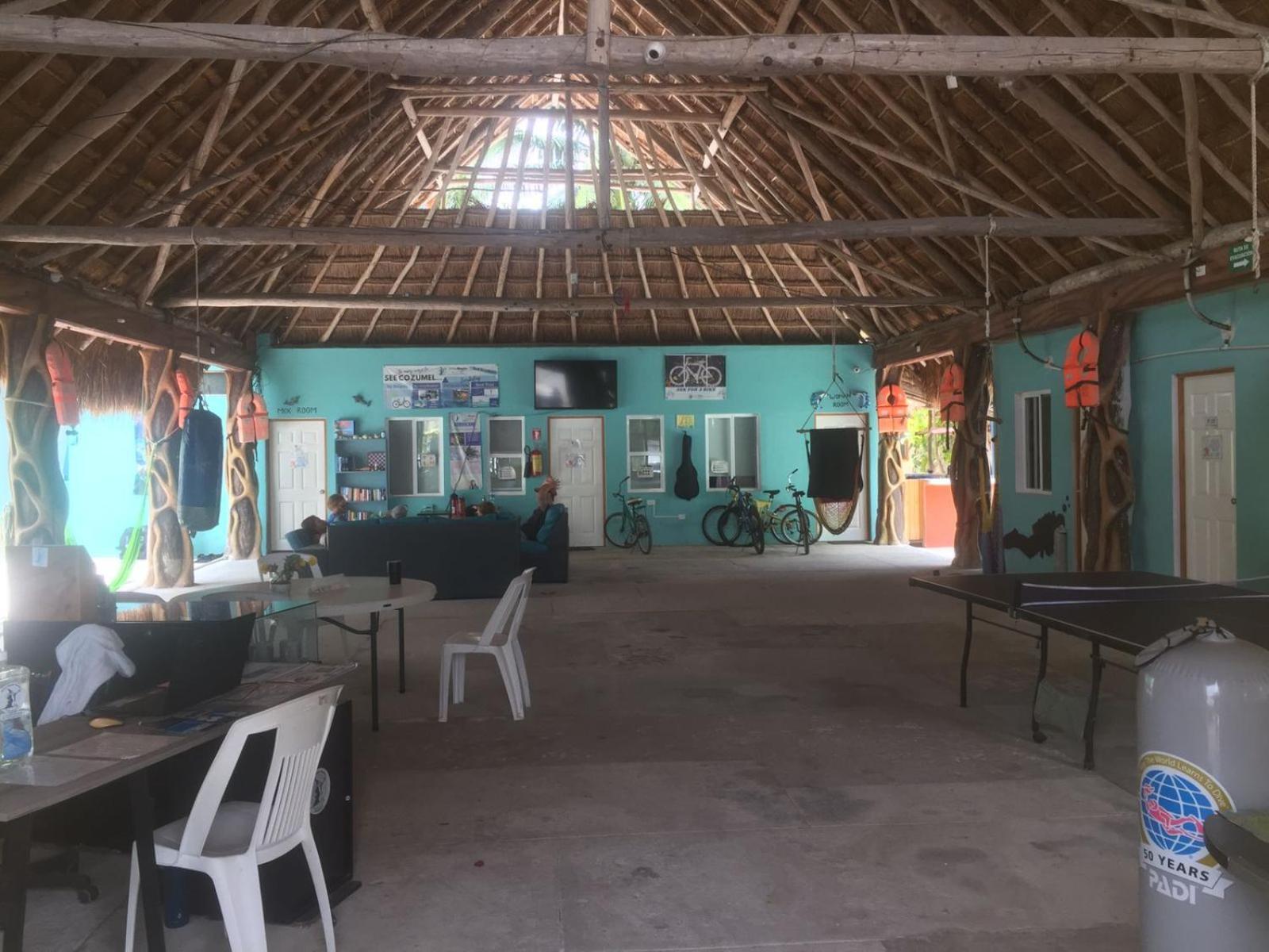 Blue Magic Hostel Cozumel Exterior foto